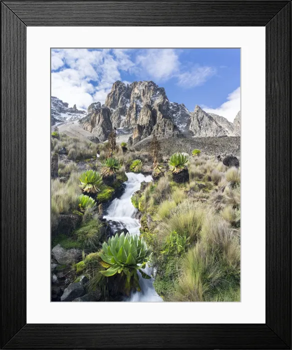 Framed Print : DDE-90020340 Framed Print : DDE-90020340