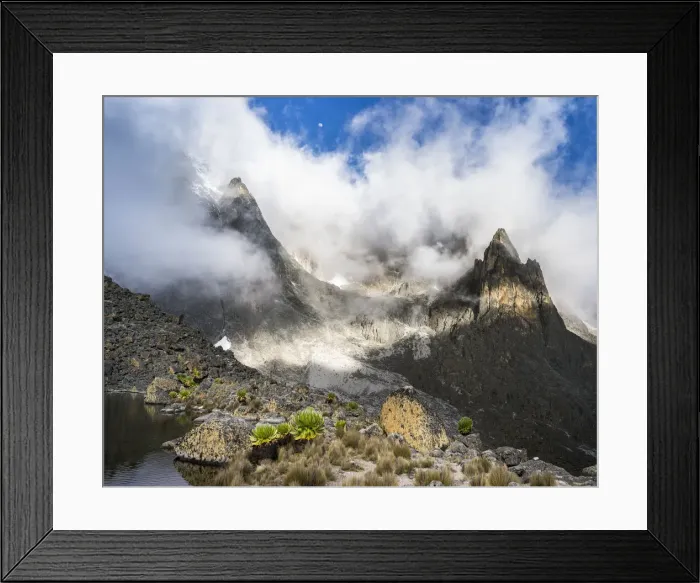 Framed Print : DDE-90020341 Framed Print : DDE-90020341