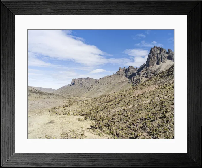 Framed Print : DDE-90020345 Framed Print : DDE-90020345