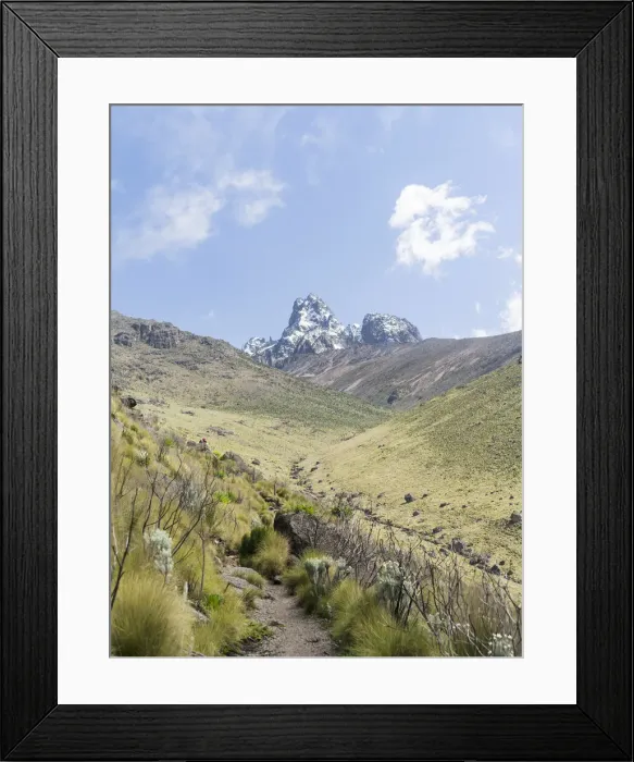 Framed Print : DDE-90020346 Framed Print : DDE-90020346