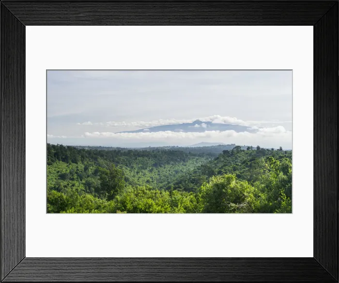 Framed Print : DDE-90020347 Framed Print : DDE-90020347