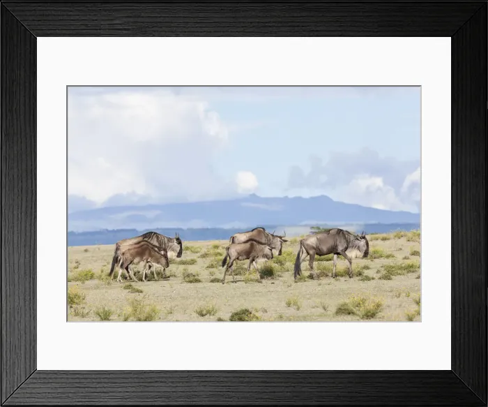 Framed Print : DDE-90020348 Framed Print : DDE-90020348
