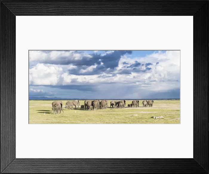 Framed Print : DDE-90020349 Framed Print : DDE-90020349