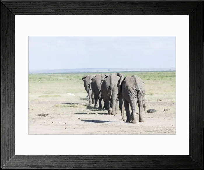 Framed Print : DDE-90020351 Framed Print : DDE-90020351