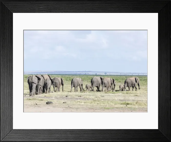 Framed Print : DDE-90020350 Framed Print : DDE-90020350