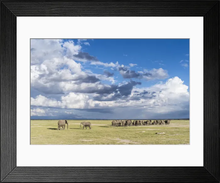Framed Print : DDE-90020352 Framed Print : DDE-90020352