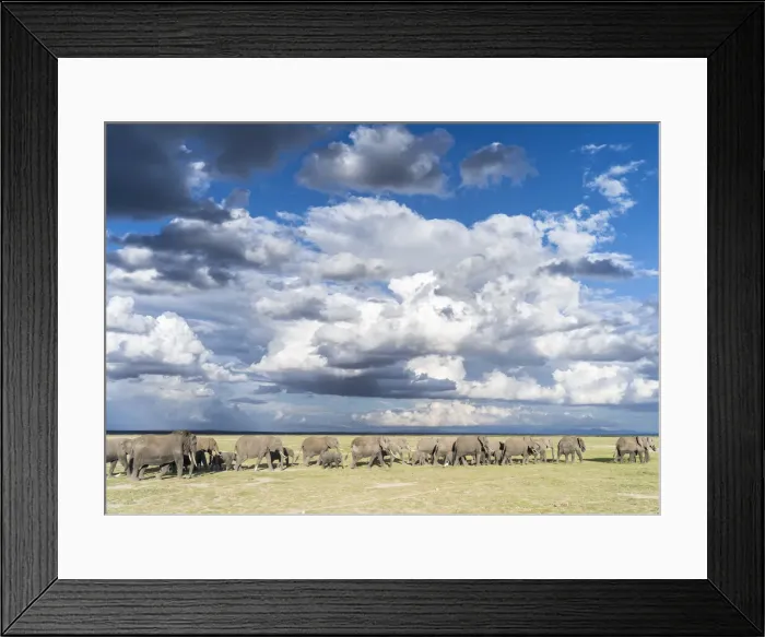Framed Print : DDE-90020353 Framed Print : DDE-90020353