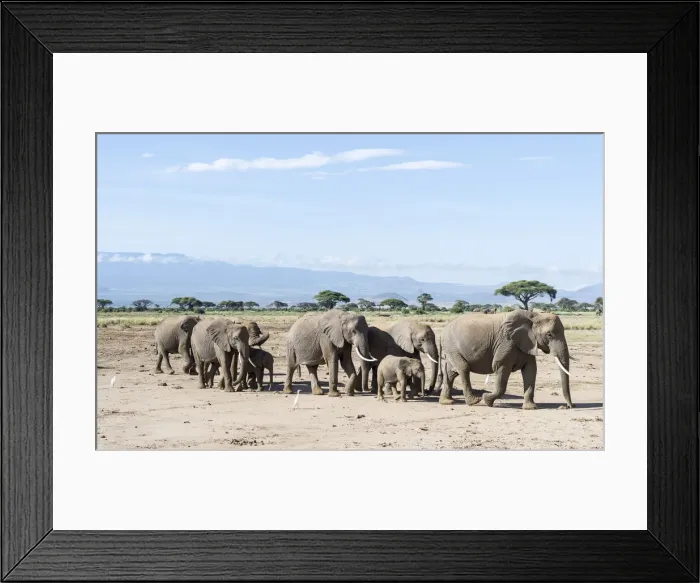 Framed Print : DDE-90020354 Framed Print : DDE-90020354