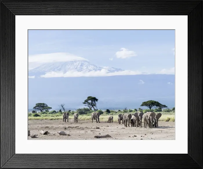 Framed Print : DDE-90020355 Framed Print : DDE-90020355