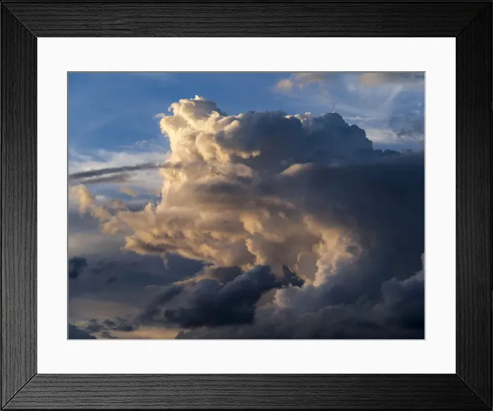 Framed Print : DDE-90020356 Framed Print : DDE-90020356