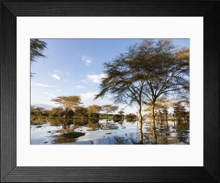 Framed Print : DDE-90020358 Framed Print : DDE-90020358