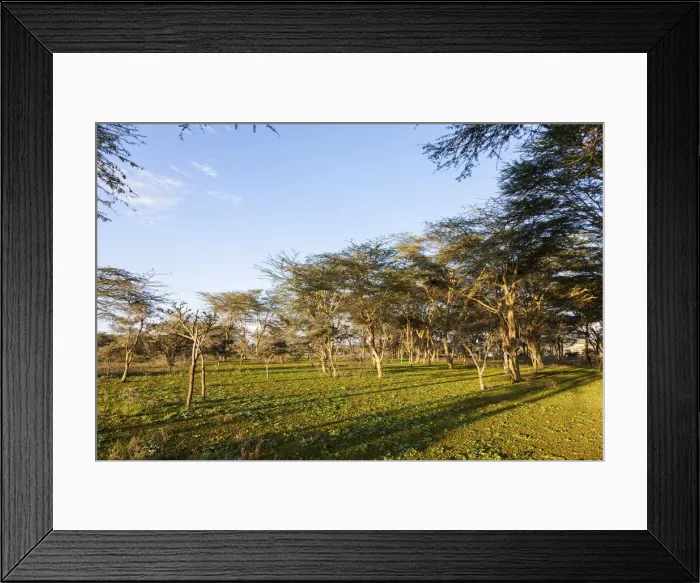 Framed Print : DDE-90020359 Framed Print : DDE-90020359