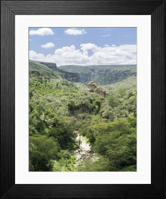 Framed Print : DDE-90020364
