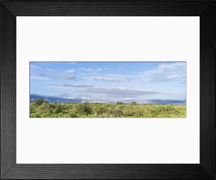 Framed Print : DDE-90020365 Framed Print : DDE-90020365