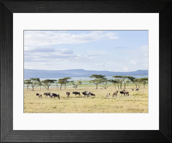 Framed Print : DDE-90020366 Framed Print : DDE-90020366