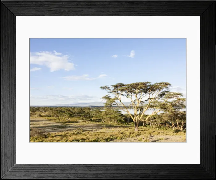 Framed Print : DDE-90020367 Framed Print : DDE-90020367