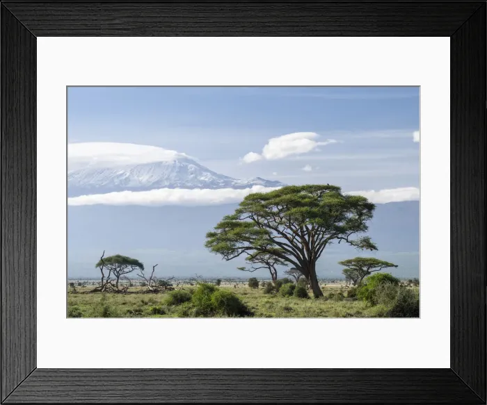Framed Print : DDE-90020368 Framed Print : DDE-90020368