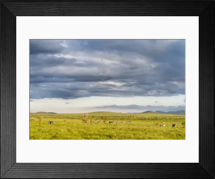 Framed Print : DDE-90020370 Framed Print : DDE-90020370