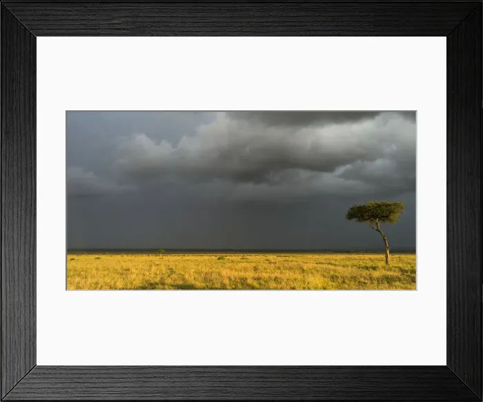 Framed Print : DDE-90020371