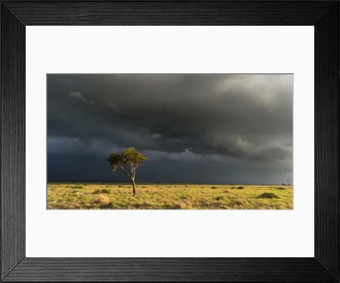 Framed Print : DDE-90020373 Framed Print : DDE-90020373