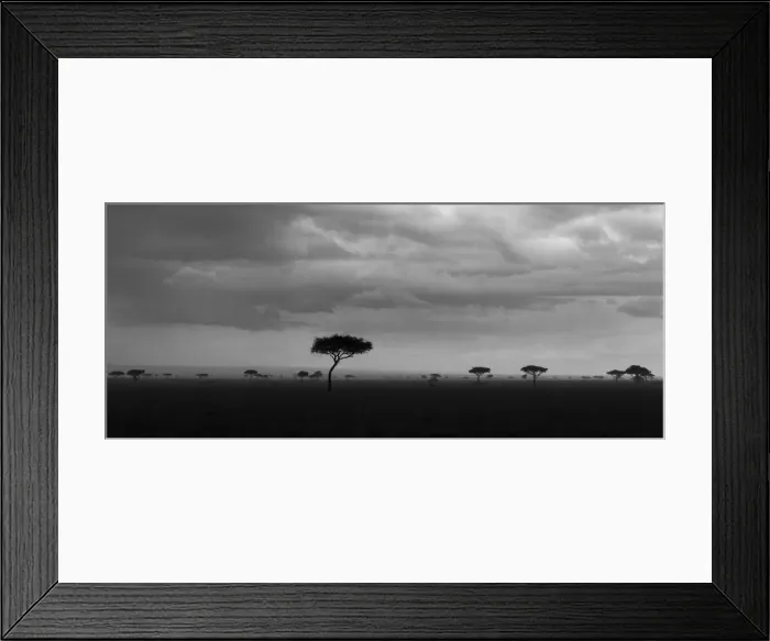 Framed Print : DDE-90020374 Framed Print : DDE-90020374
