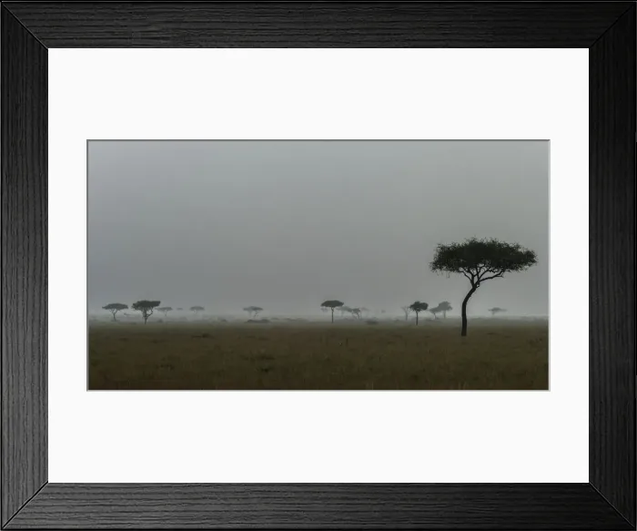 Framed Print : DDE-90020375 Framed Print : DDE-90020375