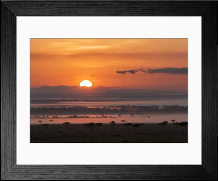 Framed Print : DDE-90020376 Framed Print : DDE-90020376