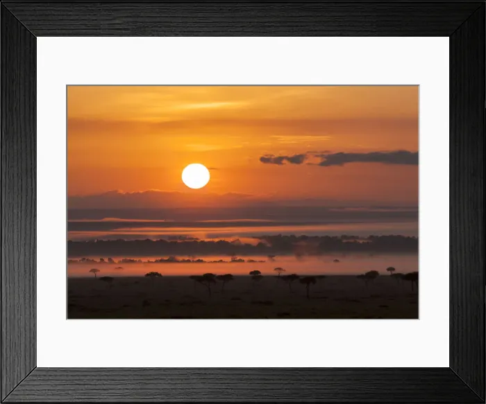 Framed Print : DDE-90020377 Framed Print : DDE-90020377