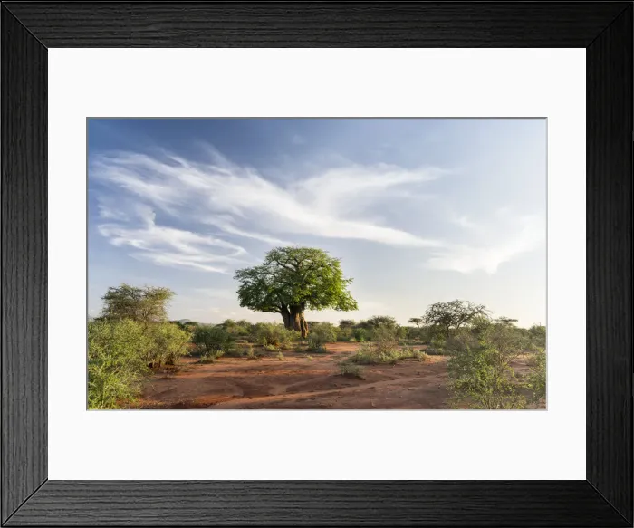 Framed Print : DDE-90020378 Framed Print : DDE-90020378