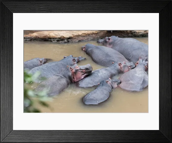 Framed Print : DDE-90020380 Framed Print : DDE-90020380