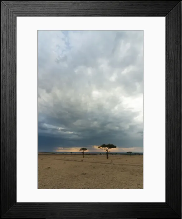 Framed Print : DDE-90020383 Framed Print : DDE-90020383