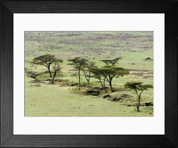 Framed Print : DDE-90020384 Framed Print : DDE-90020384