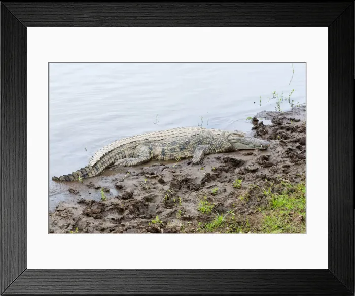 Framed Print : DDE-90020385 Framed Print : DDE-90020385