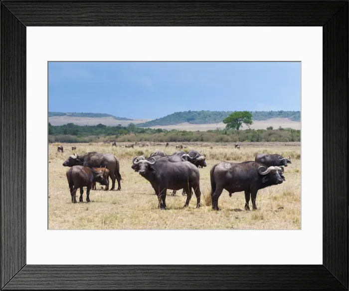 Framed Print : DDE-90020387 Framed Print : DDE-90020387