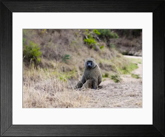 Framed Print : DDE-90020388