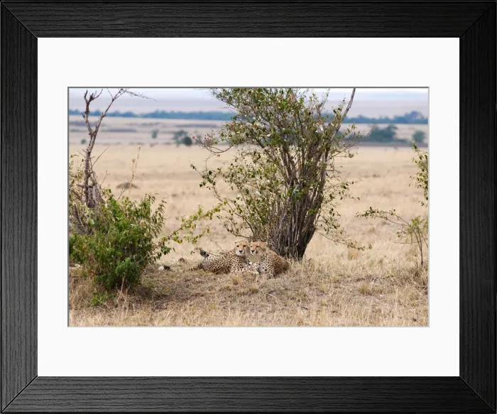 Framed Print : DDE-90020391 Framed Print : DDE-90020391