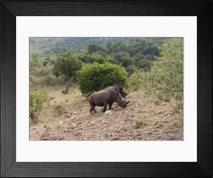 Framed Print : DDE-90020392 Framed Print : DDE-90020392