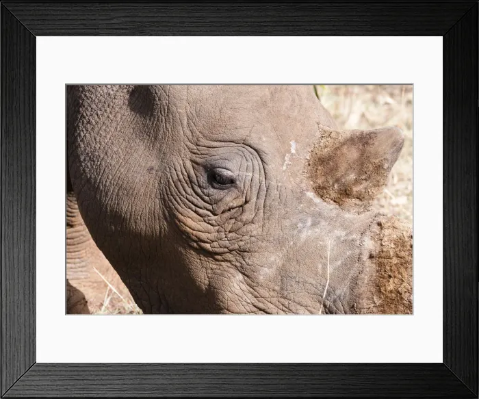 Framed Print : DDE-90020394 Framed Print : DDE-90020394