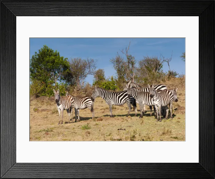 Framed Print : DDE-90020395 Framed Print : DDE-90020395