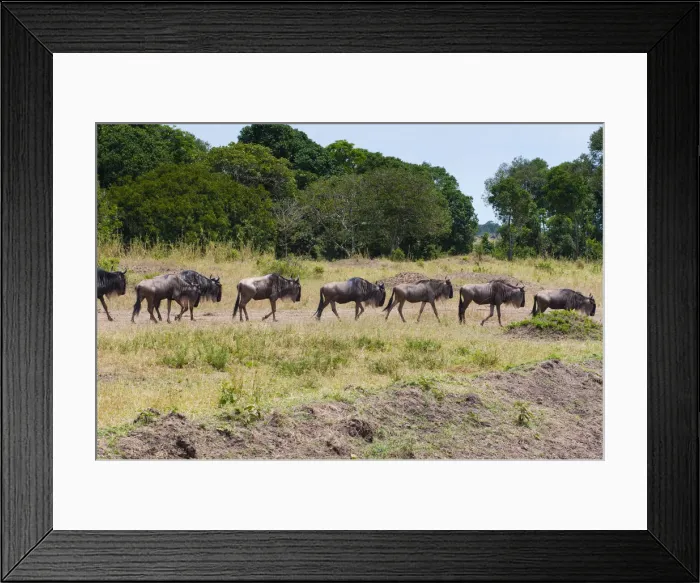 Framed Print : DDE-90020398