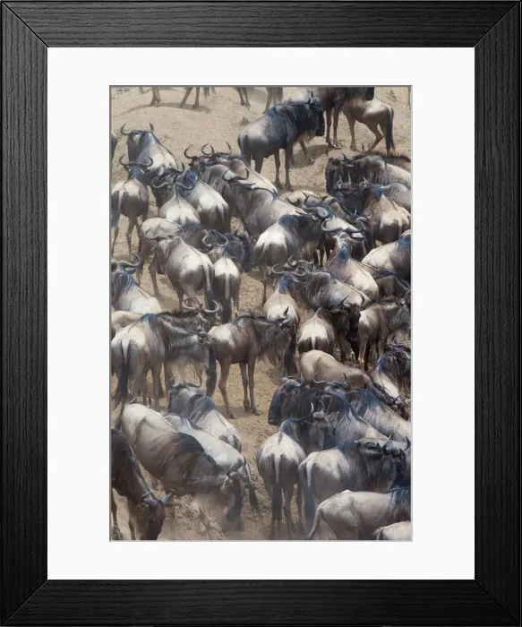 Framed Print : DDE-90020399 Framed Print : DDE-90020399