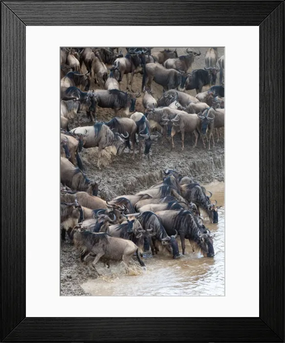Framed Print : DDE-90020400 Framed Print : DDE-90020400