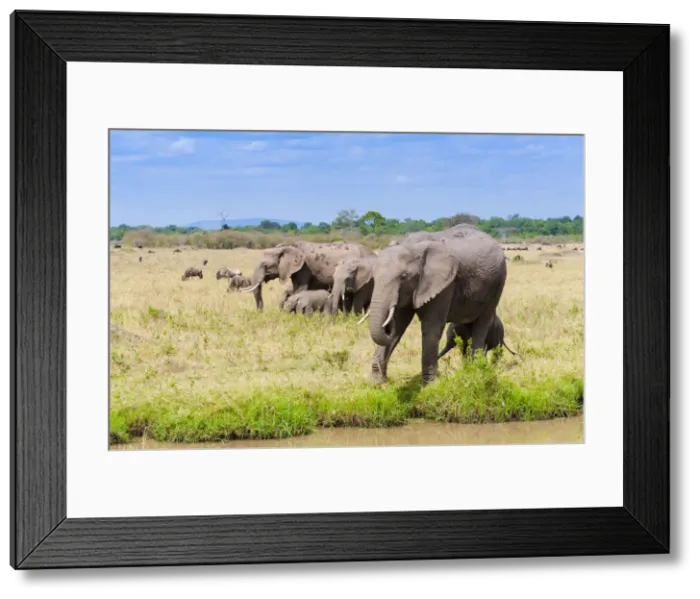 Framed Print : DDE-90020407