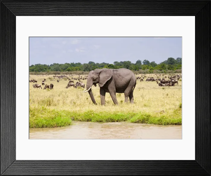 Framed Print : DDE-90020408 Framed Print : DDE-90020408