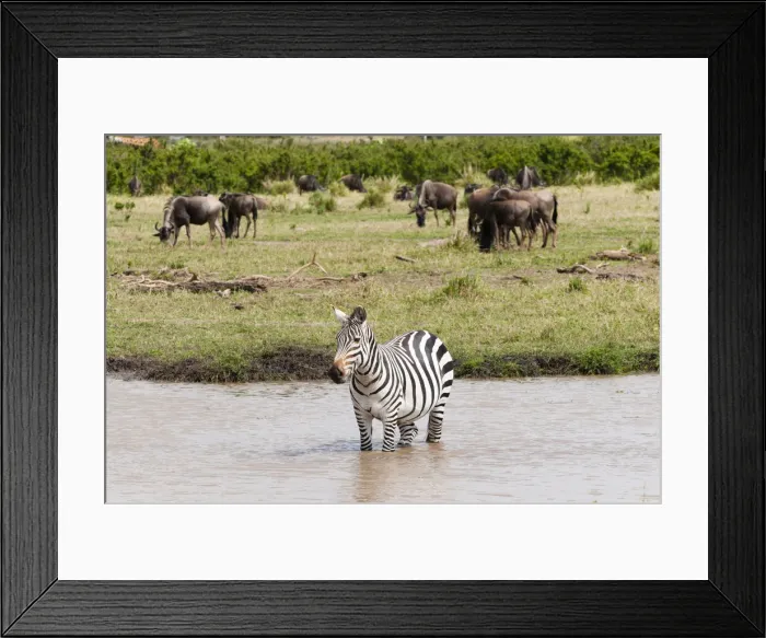 Framed Print : DDE-90020409 Framed Print : DDE-90020409