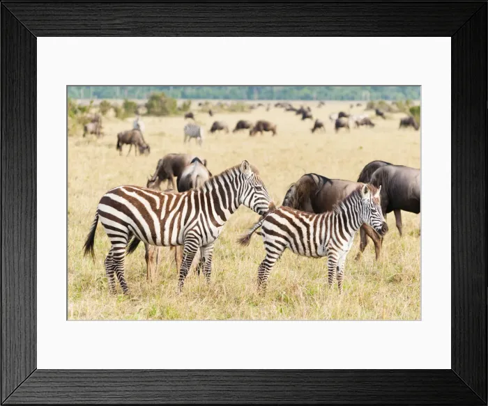 Framed Print : DDE-90020410 Framed Print : DDE-90020410