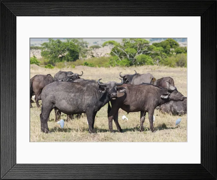 Framed Print : DDE-90020412 Framed Print : DDE-90020412