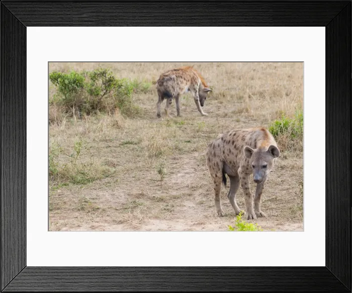 Framed Print : DDE-90020414 Framed Print : DDE-90020414