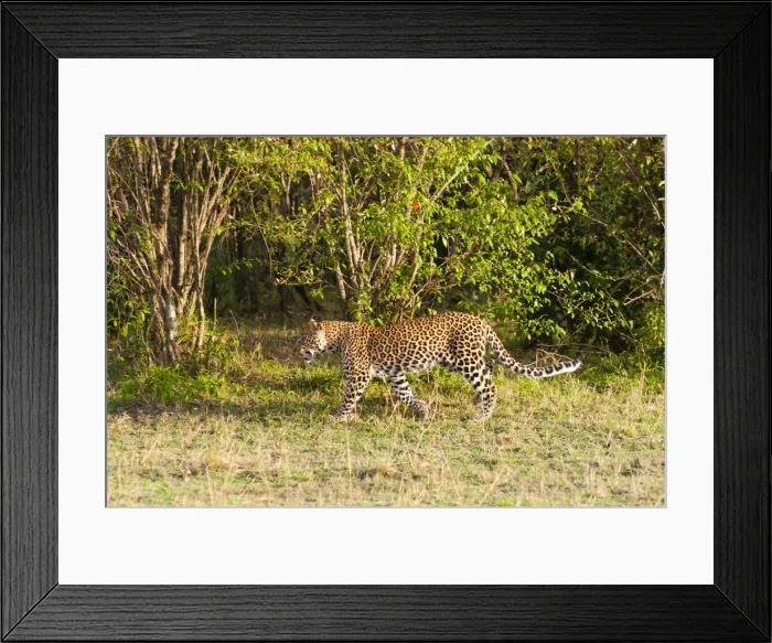 Framed Print : DDE-90020416