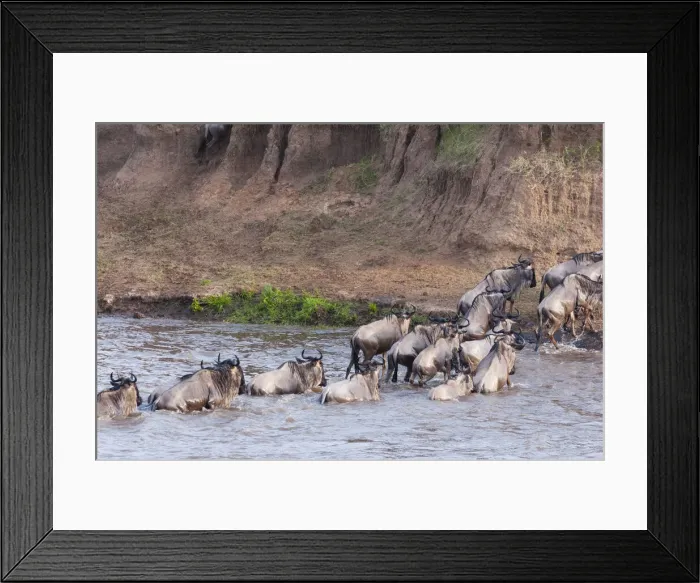Framed Print : DDE-90020417 Framed Print : DDE-90020417